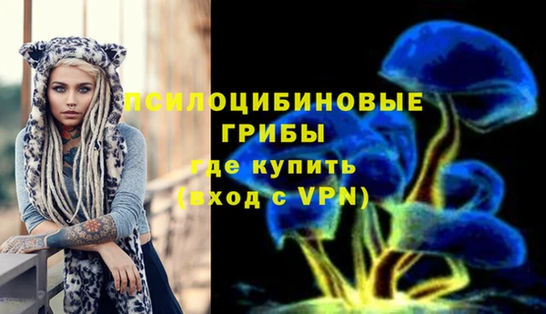 a pvp Алзамай