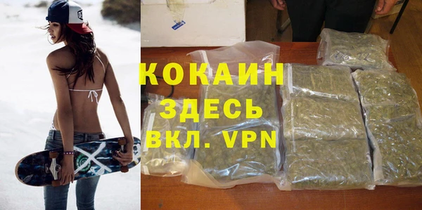 сатива Алексин