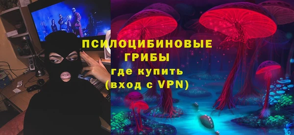 сатива Алексин