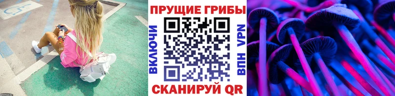хочу наркоту  Майкоп  Галлюциногенные грибы мицелий 